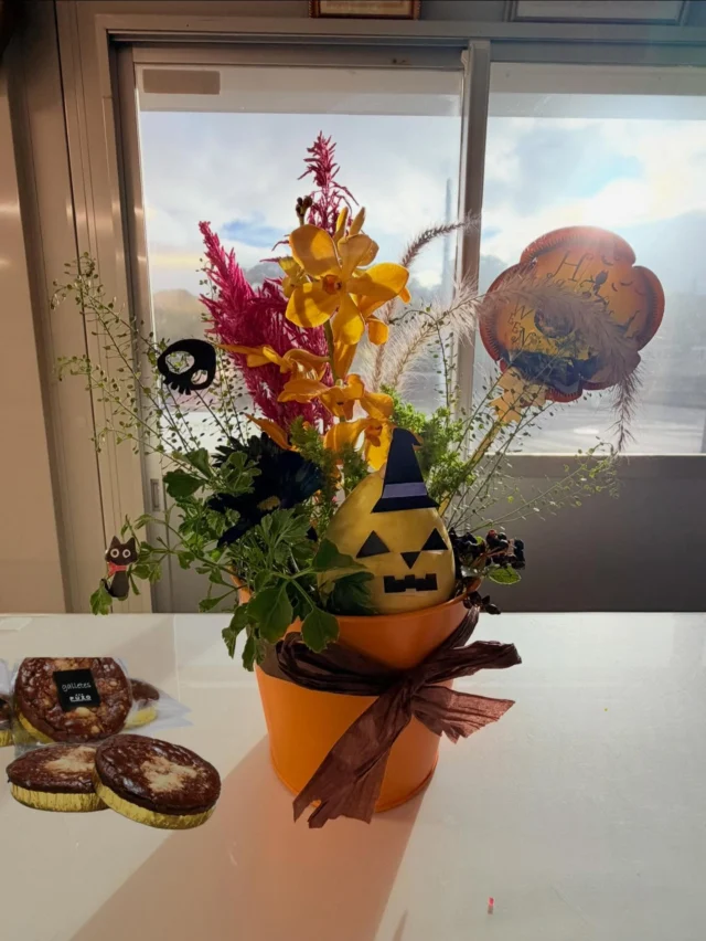 🕯️happy Halloween🕯️
総務部です👀  気づけば、沖縄にも秋が来てたみたいです😮
そして10月といえば、ハロウィン👻
今日は素敵なクッキーの差し入れ、いただきました！🎃
ハロウィン気分が味わえて、
仕事の合間の良い息抜きになりました
残り2ヶ月、いよいよ忙しくなってきますが、
充実した年末を迎えられるよう、頑張っていきましょう！  #沖縄鉄筋#総合建築#happy Halloween 
#ジャックオランタンは元々カブだったってよ🫜